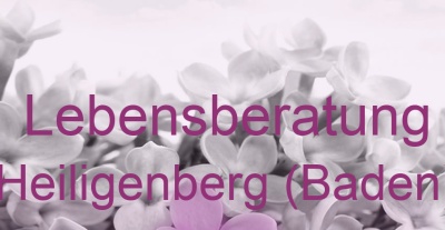 Lebensberatung Heiligenberg (Baden) | Top-Experten für Kartenlegen, Wahrsagen, Hellsehen, Zukunftsdeutung.